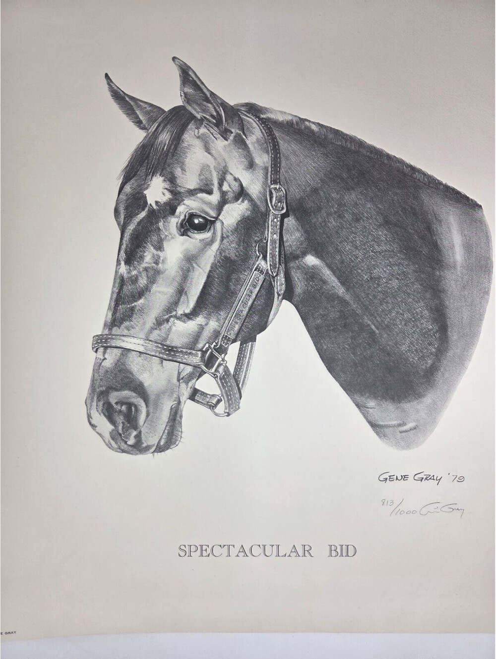 Gene Gray 1979 Spectacular Bid Limited Edition Signed Horse Portrait Print